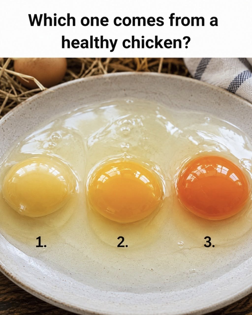 The Egg Yolk That Stopped Me in My Tracks