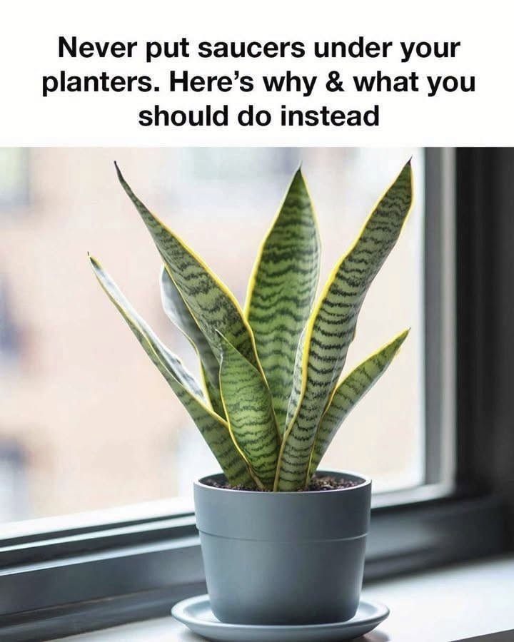 Ooops, guess I’ve been doing this wrong