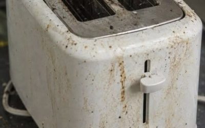 Your Toaster Is Grosser Than You Think
