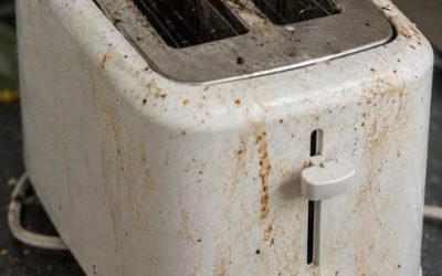 Your Toaster Is Grosser Than You Think (Here’s How to Fix That)