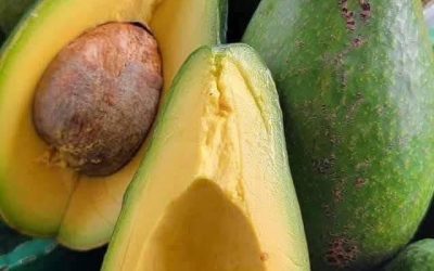 Doctors reveal that avocado consumption causes… see more