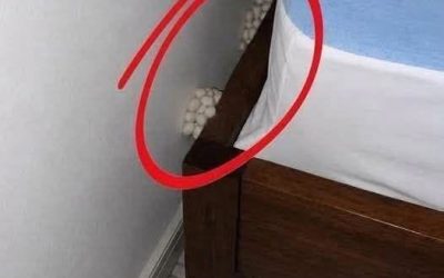 I Found Mysterious White Objects on My Bedroom Floor — The Truth Left Me Amazed