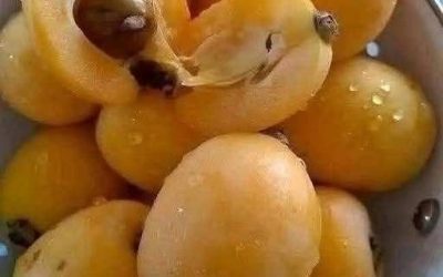 Traditional Apricot Jam Recipe and How to Make It