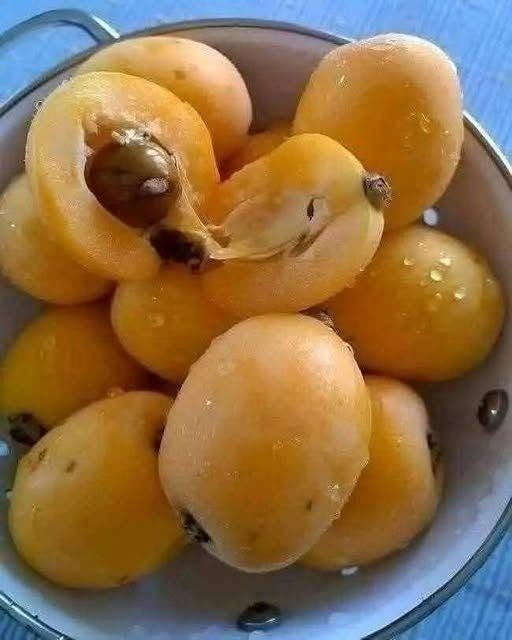 Traditional Apricot Jam Recipe and How to Make It