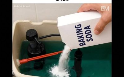 8 Reasons Why Adding Baking Soda to Your Toilet Tank Is a Must-Do Trick