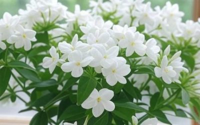 11 best smelling houseplants to make your home smell amazing