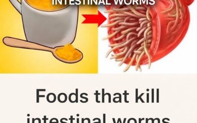7 Foods That Kill Intestinal Worms
