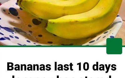 Bananas Last 10 Days Longer When Stored with One Kitchen Item Instead of in a Fruit Bowl