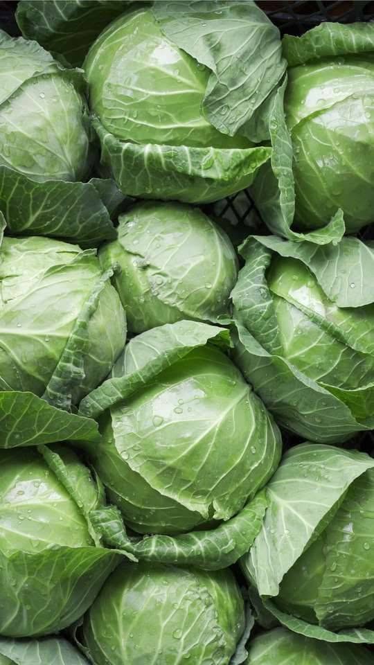 Doctors reveal that eating cabbage causes… See more👇🏼