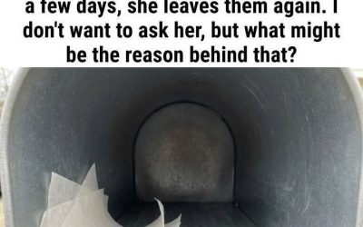 What It Means If You Find a Dryer Sheet in Your Mailbox (And Why You Should Leave It There)