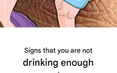 What happens to your body if you don’t drink enough water